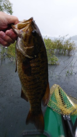 CBD40398-2166-4641-B5DA-44BE8E538B7A