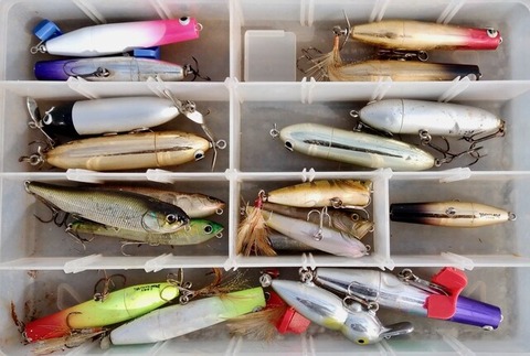 DSC_0342_20201208071640