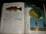 070124fujii2