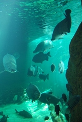 090611���ޥ���