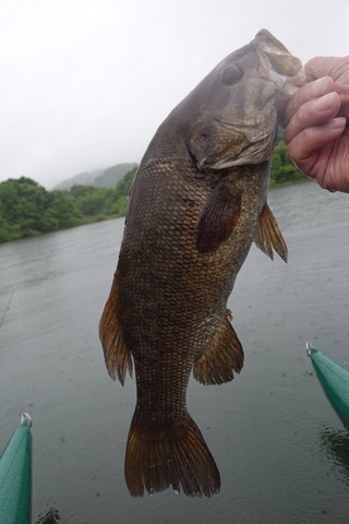 9A84135A-28FE-4CB1-AAA6-71B348C6B99F