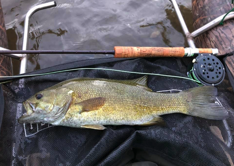 �����꡼�󥷥�å� 4