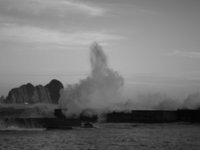 20090808_001