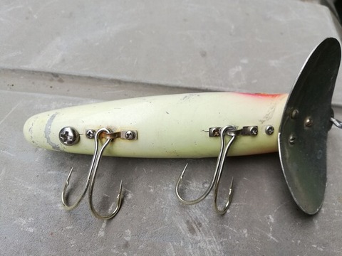 121262426_337670767539613_8268572803208105625_n