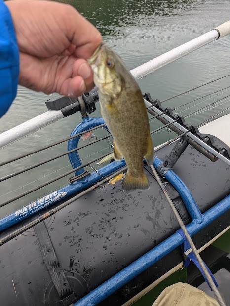 99d47a2e-d893-4406-89ad-82eb6bc42bf5