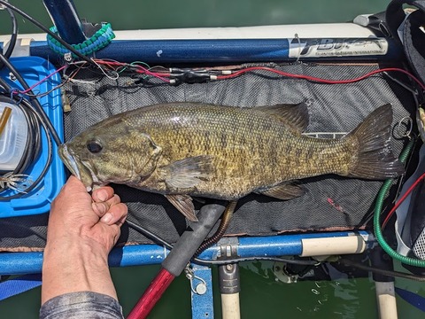 PXL_20240504_030203601