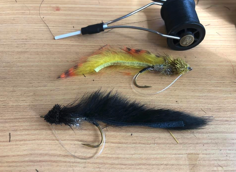 �����꡼�󥷥�å� 2022-03-26 13.00.58