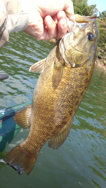 IMG_20141019_115001924