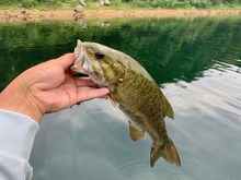 IMG_4326