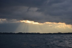 DSC_5569_R