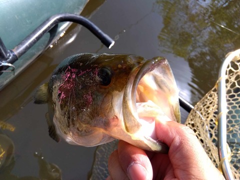 441492979_292950000561713_4364617105866244301_n