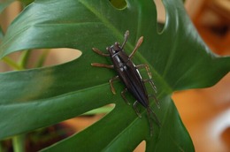 256698201_469614921159226_6175809547160079937_n