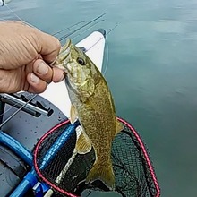 119943313_1635508706815200_2897182711294924990_n