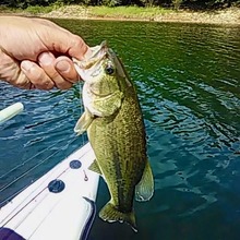 119667942_1332358856967454_5898603560491511003_n