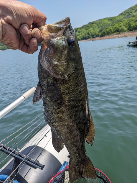 PXL_20240504_030107712