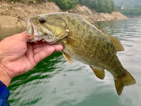 f91bccf2-b4f2-4923-aa13-47820c25899c