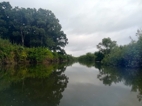 41375499_296707561140533_5195332594614403072_n