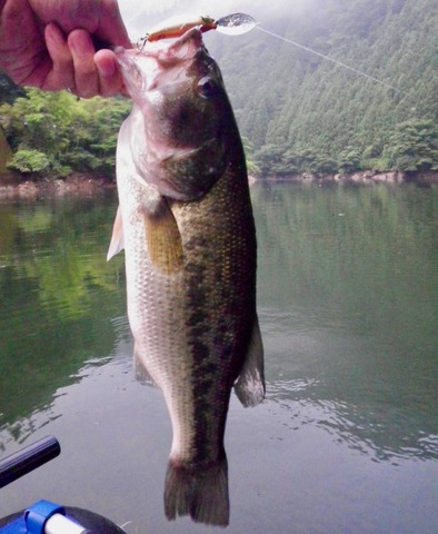 274146068_625475285204535_3412248937282855669_n (1)