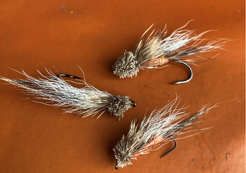 �����꡼�󥷥�å� 2022-03-26 12.58.52