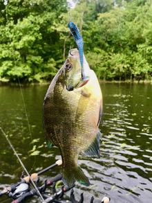 291995376_793631332016629_2921007280010488011_n