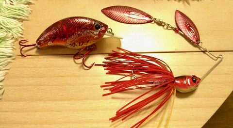 264870891_419490352981564_897188834830218446_n