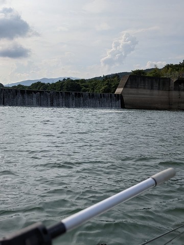 204941124_557228135306696_718143045778356764_n