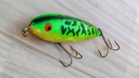 123725621_827254818075941_1436599499935488139_n