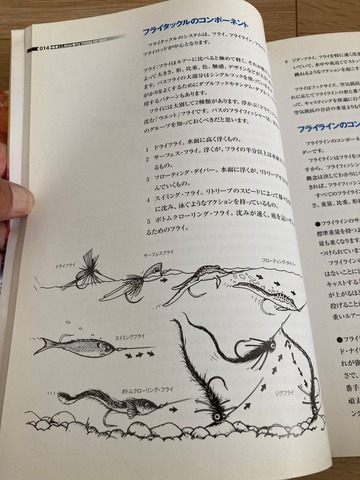 275817436_390104839211543_6076891481835224437_n