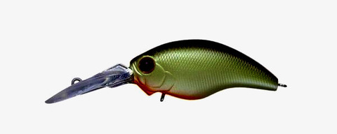 270156052_252930126955936_6166491620803309558_n (1)