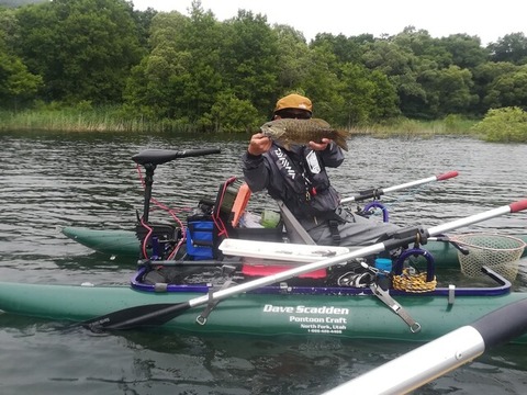 sp-017165200s1595732132