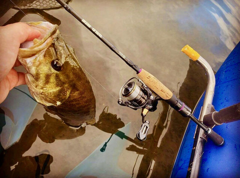 248368283_221415153422986_8663441882210265414_n