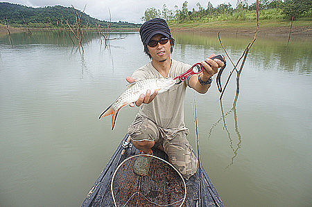 11thai4