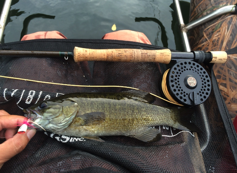 �����꡼�󥷥�å� 2022-03-26 13.11.54