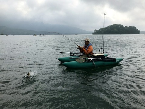 ��ƣ����