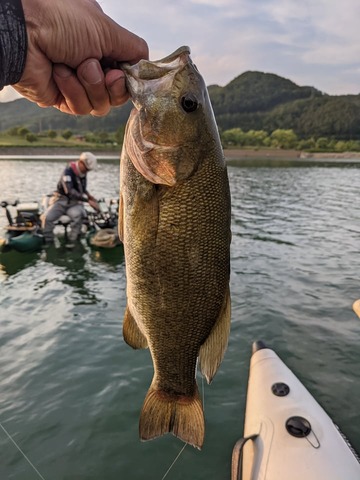 200934679_854207838863587_5174799412613714556_n