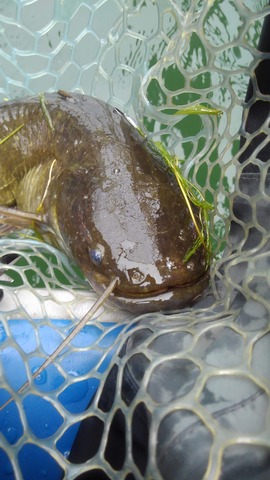 2016CDC6-3A87-491B-B15F-E5D87FB45594