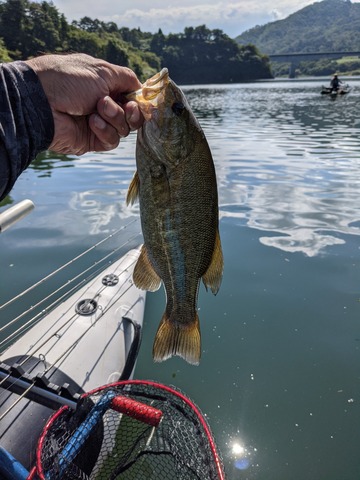 PXL_20210912_010538853