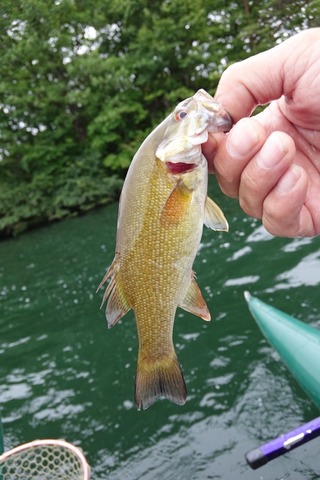 F7E05166-2D64-4AAA-BE93-A092D40DE332