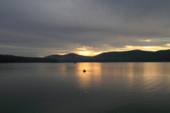 IMG_8482XX
