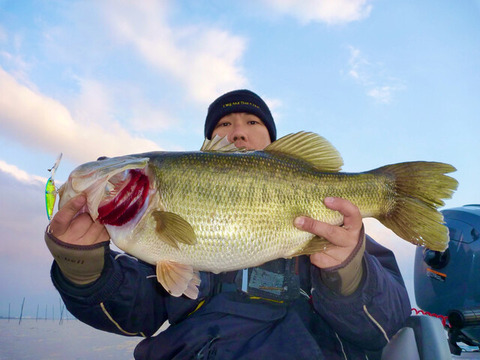 147452179_157412282711493_2995767640941225847_n