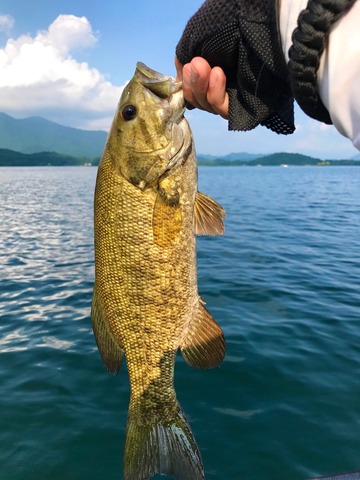 297589804_833173234726031_6050088210947952890_n