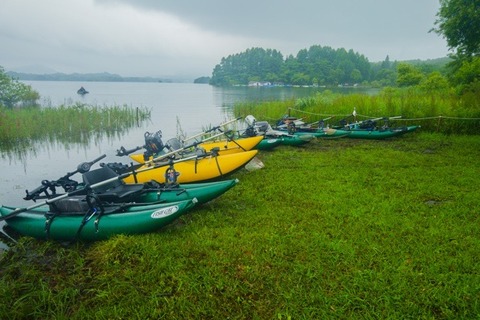 8FB1A1A8-E084-4A56-8F15-96364CB6CC3E