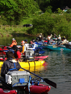 2010_5mano