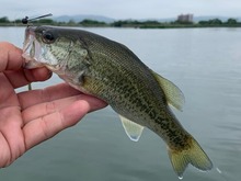 IMG_3988