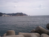 20080309