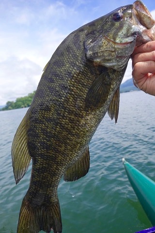 110046316_620224701938237_5440229927837662274_n