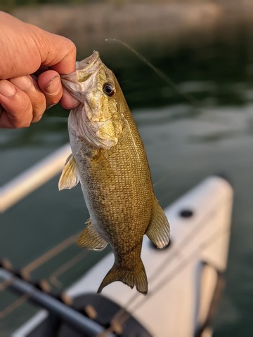 200853477_346124033638040_1747539195903710894_n