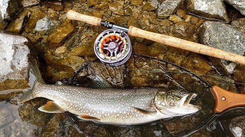 123503460_378906896565433_5265426091561361908_n