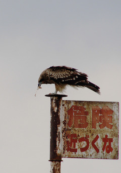 1008_BIWA_05