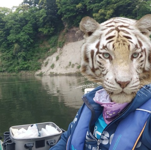 sp-063029000s1651793693